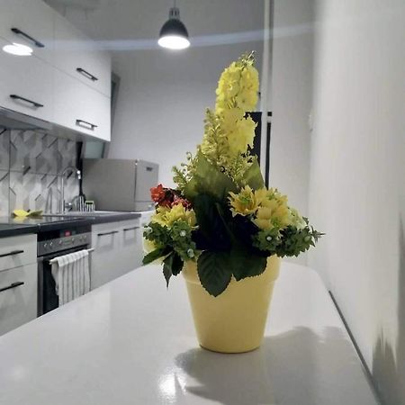 A Convenient Apartment In The Heart Of Athènes Extérieur photo