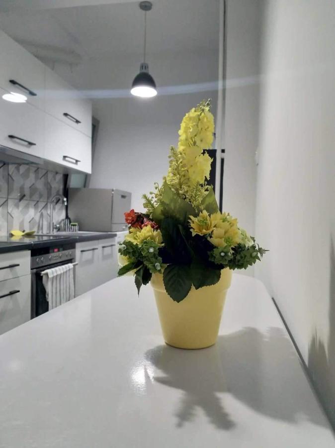 A Convenient Apartment In The Heart Of Athènes Extérieur photo